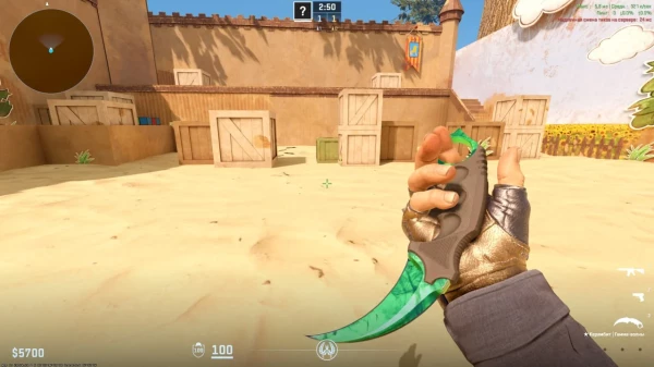 Phoenix-Hack SkinChanger for Counter-Strike 2