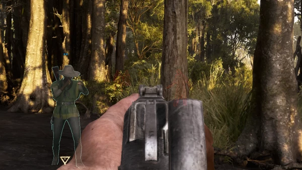 Phoenix-Hack Chams for Hunt Showdown — Reliable X-Ray Wallhack