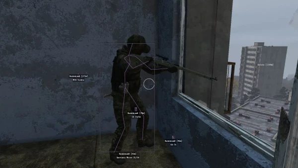 Phoenix-Hack for DayZ — efficient undetected software with multiple options