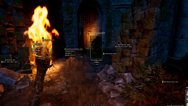 Phoenix-Hack for Dark and Darker — a legit and fully functional cheat