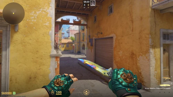 Phoenix-Hack SkinChanger for Counter-Strike 2